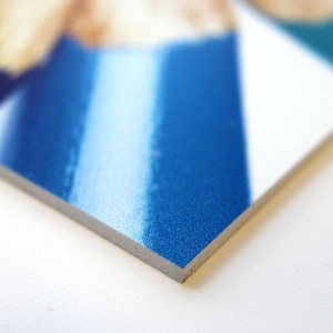 Foamex Boards