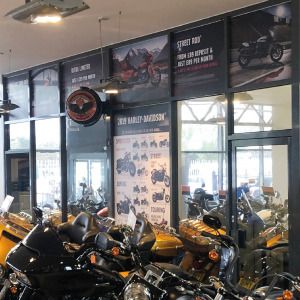Large Vinyl Graphics