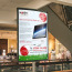 Large Posters 135gms