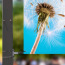 Lamp-Post Banner