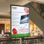 Large Posters 135gms